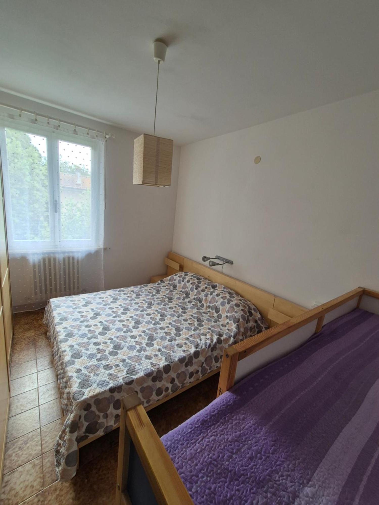 Il Gelso Daire Marina di Castagneto Carducci Dış mekan fotoğraf